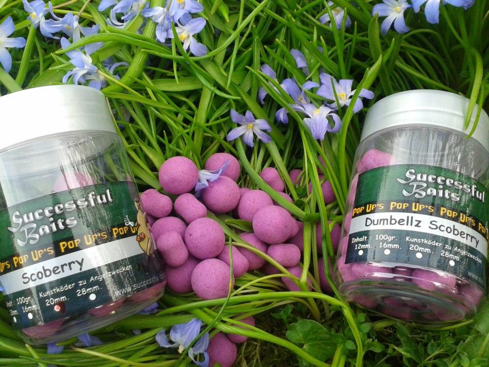 my hobby  - 532838519562054768420864589633n.jpg